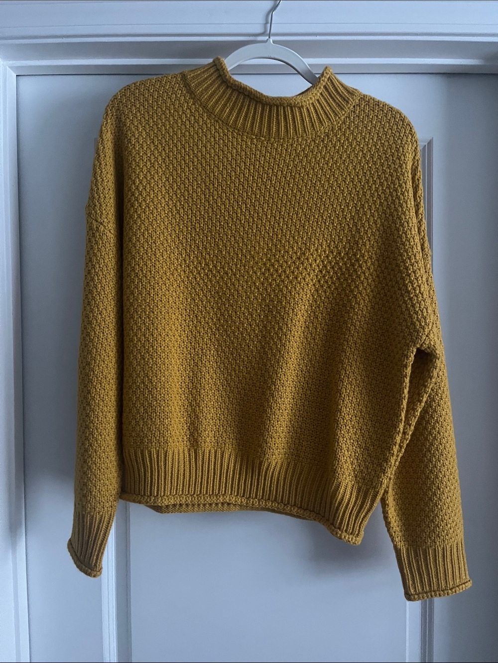 Zesica Sweater (Size Medium)